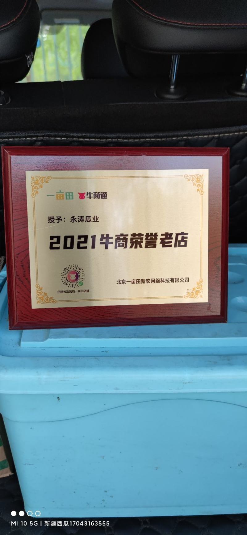 新疆西瓜代办产地价格精准严选品质专业物流发全国