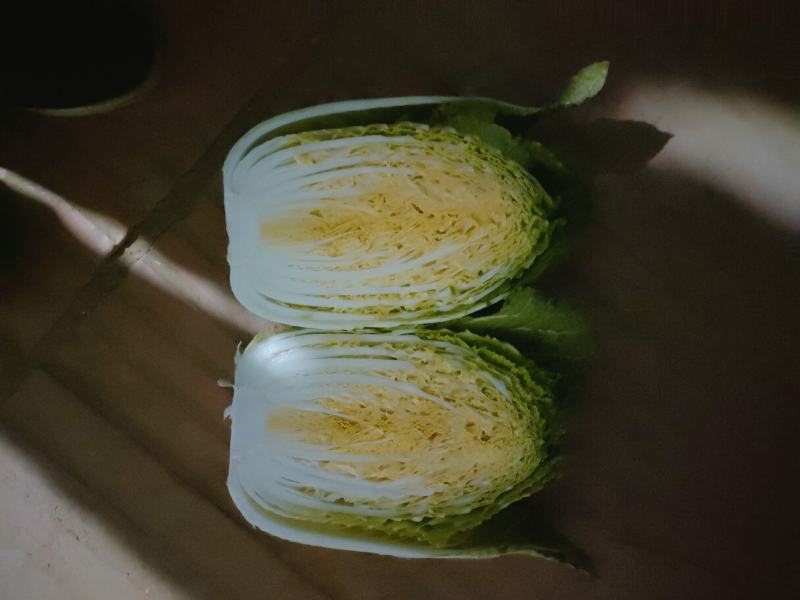 精品黄心大白菜（金翡翠）大量上市中，产地直供，价格便宜。