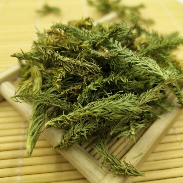 新货野生伸筋草舒筋草石松狮子草泡茶泡脚