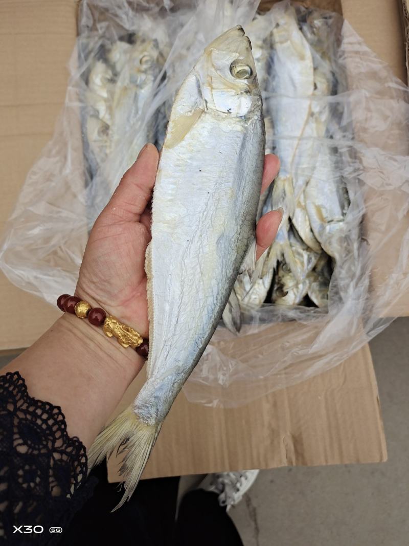 白磷鱼干腌制咸鱼干也叫快鱼规格全！一手货源大量现货供应