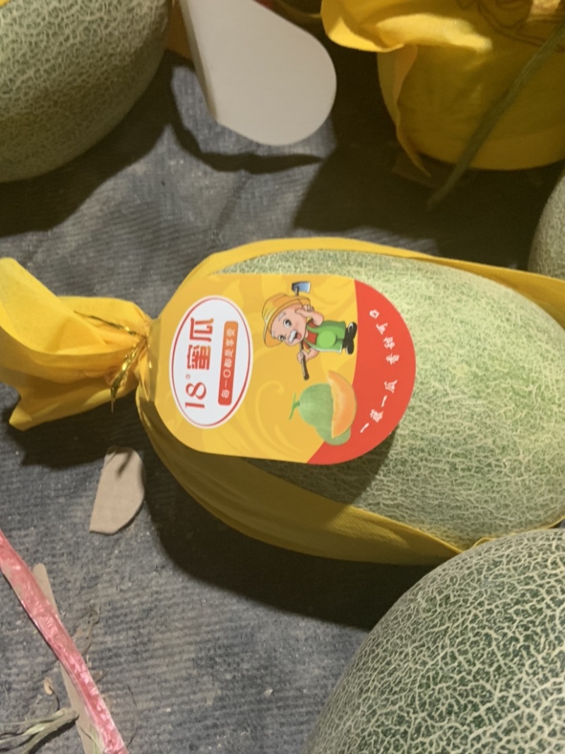 （热销）海南精品海沙25号晓蜜，对接各大市场，商超，社区