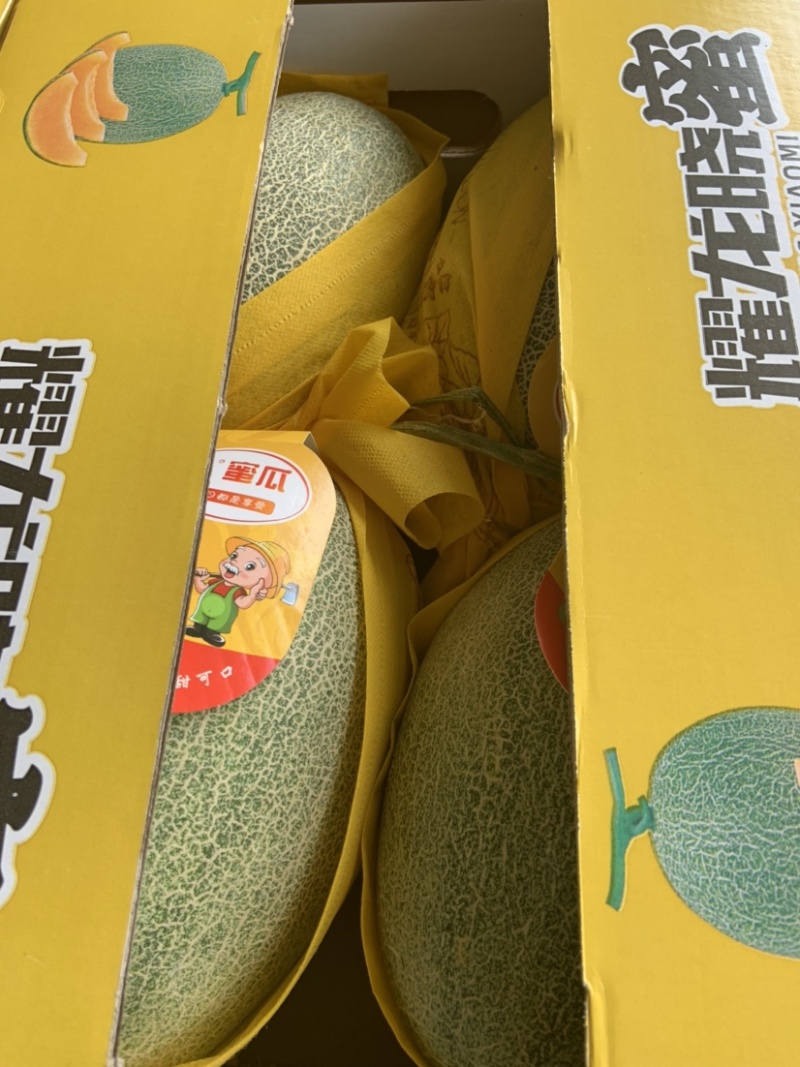 （热销）海南精品海沙25号晓蜜，对接各大市场，商超，社区