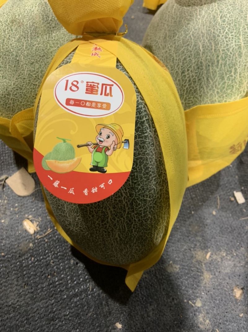 （热销）海南精品海沙25号晓蜜，对接各大市场，商超，社区