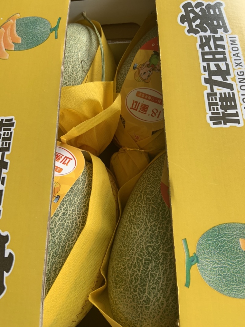 （热销）海南精品海沙25号晓蜜，对接各大市场，商超，社区
