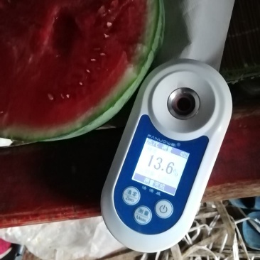 精品帅童蜜童，保质保量，可代发全国，欢迎前来洽谈联系，