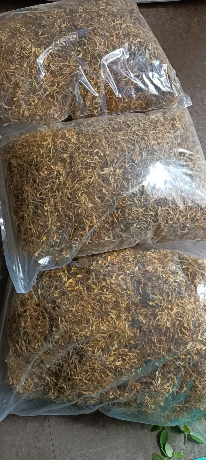 八月瓜（牛腰子果，狗腰子，八月炸，通草果）