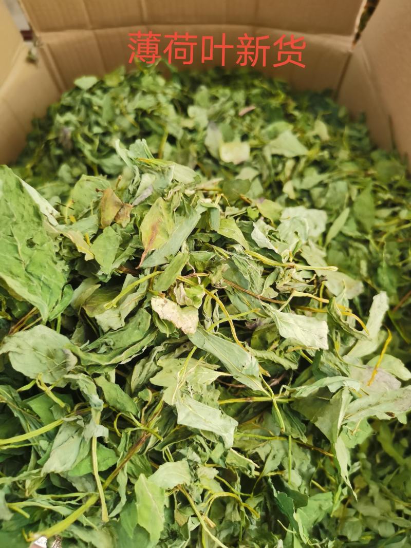 薄荷叶，薄荷叶茶新货，颜色青，打粉需要的客户欢迎咨询。