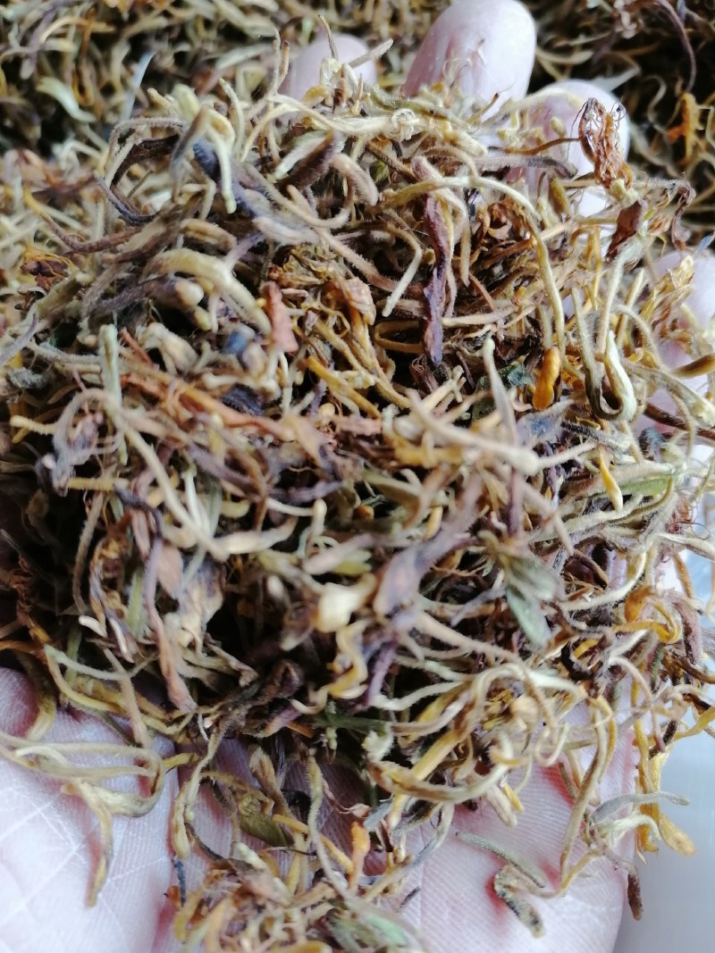 金银花