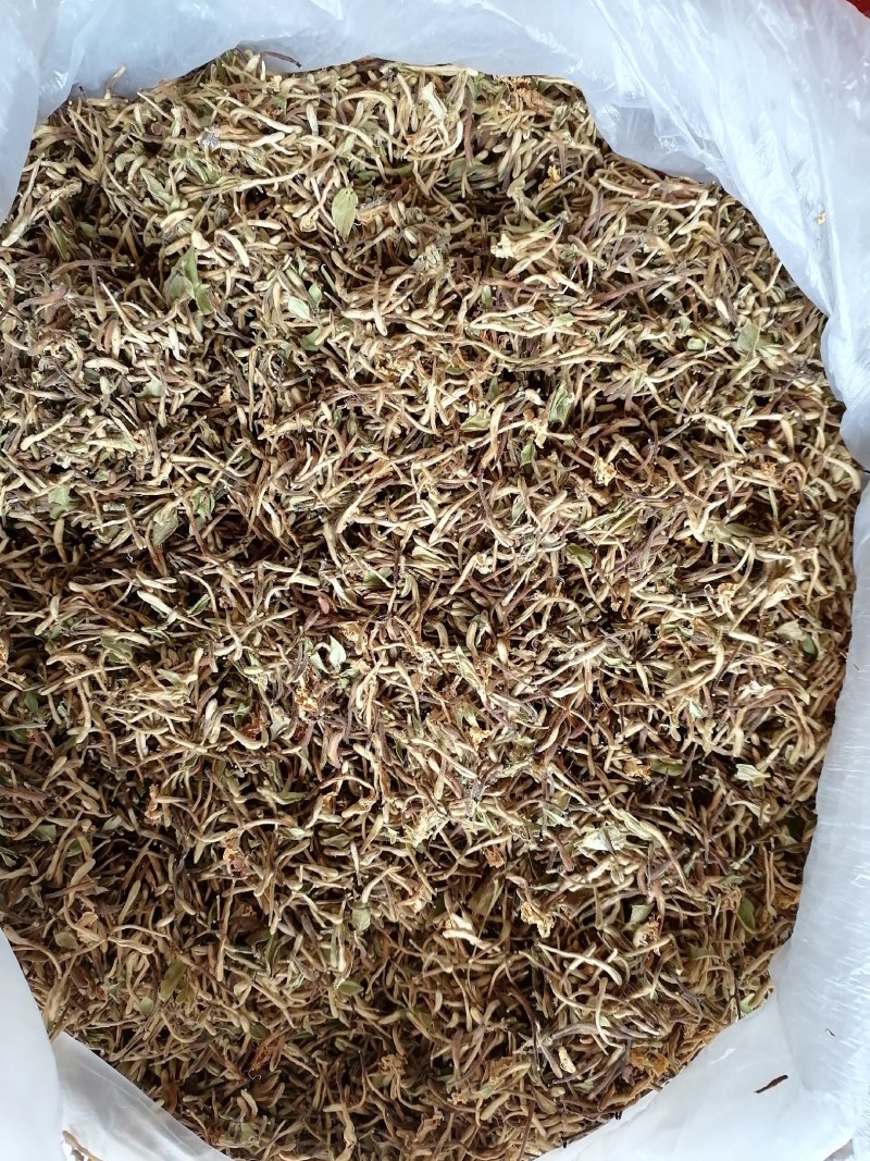 金银花