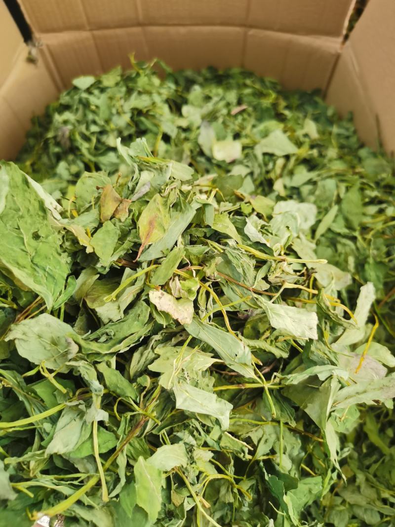 薄荷叶，薄荷叶茶新货，颜色青，打粉需要的客户欢迎咨询。