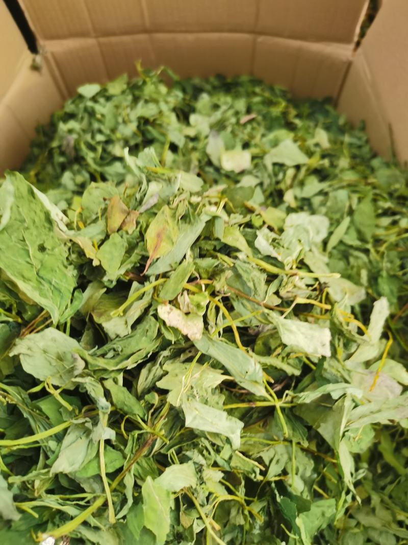 薄荷叶，薄荷叶茶新货，颜色青，打粉需要的客户欢迎咨询。