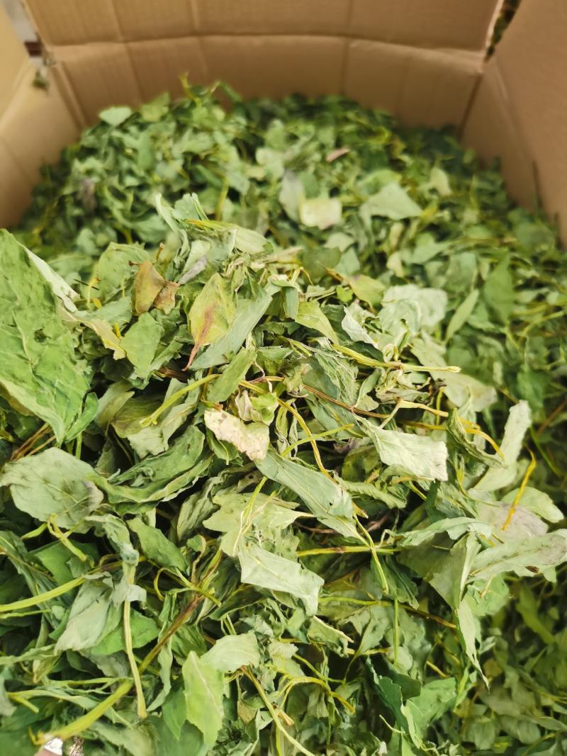 薄荷叶，薄荷叶茶新货，颜色青，打粉需要的客户欢迎咨询。