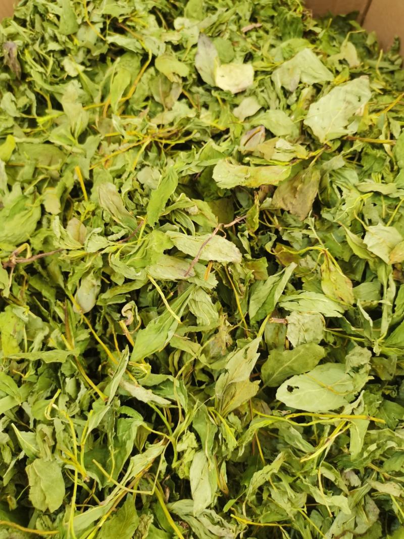 薄荷叶，薄荷叶茶新货，颜色青，打粉需要的客户欢迎咨询。