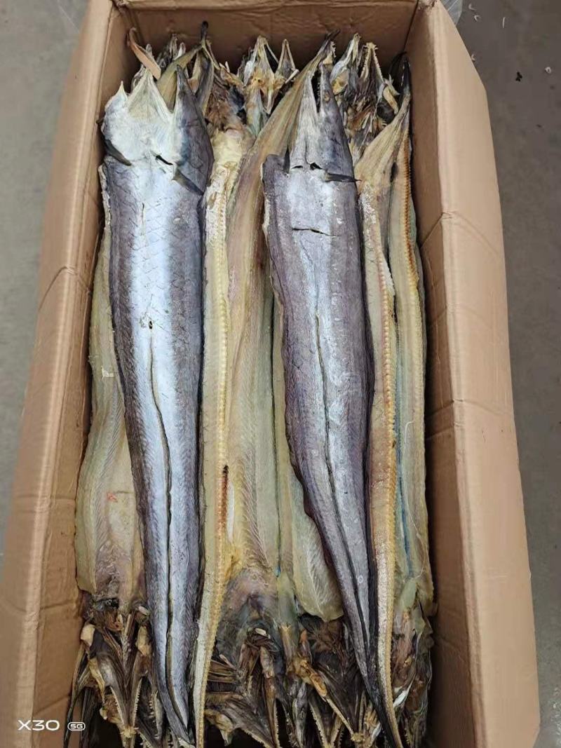鳗鱼干淡干微咸一箱净48斤去内脏可视频看货一手货源不包邮