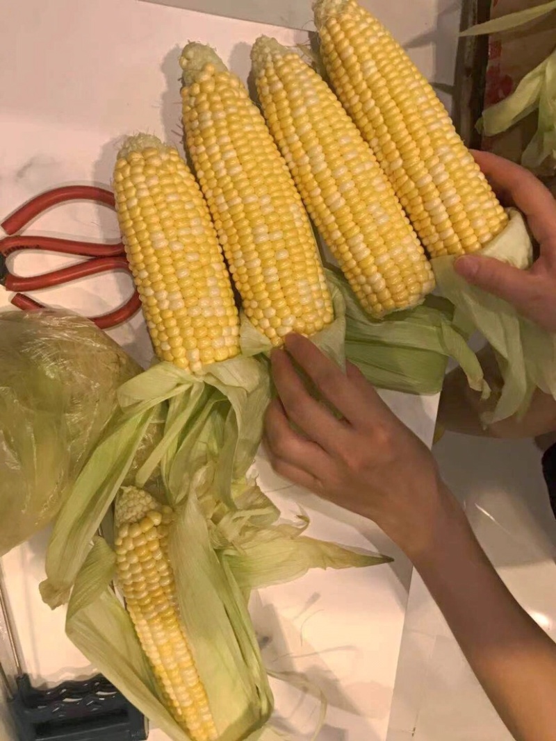 新鲜甜玉米水果玉米双色玉米鲜食玉米，一件代发，社区团购