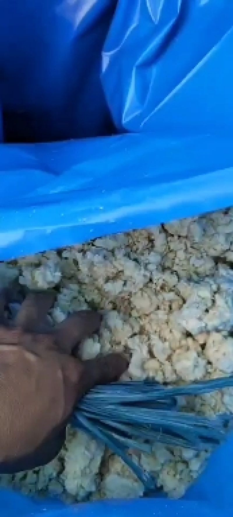发酵豆渣饲料有，玉米、麸皮、益生菌发酵、及各种微量元素