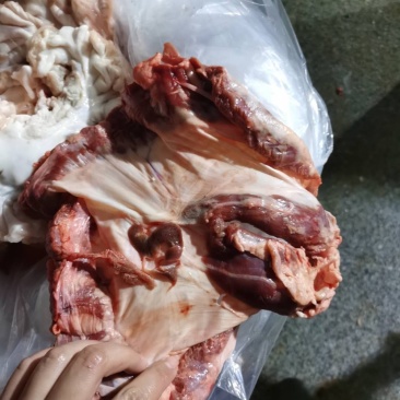 鲜护心肉