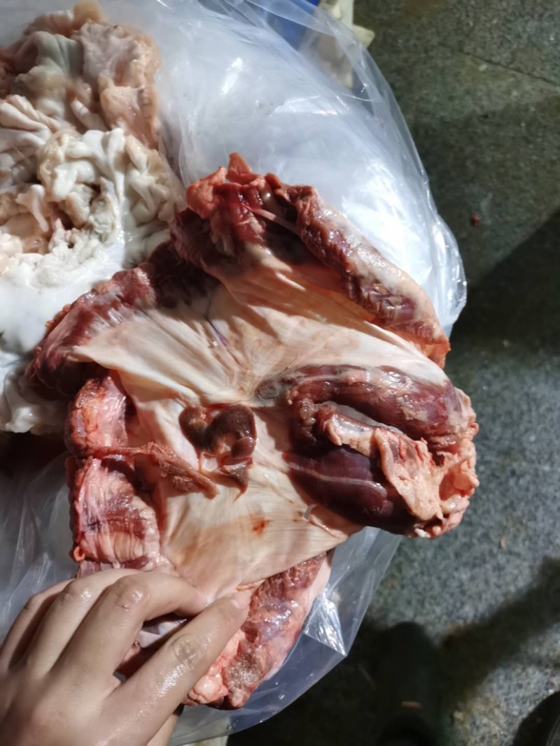 鲜护心肉