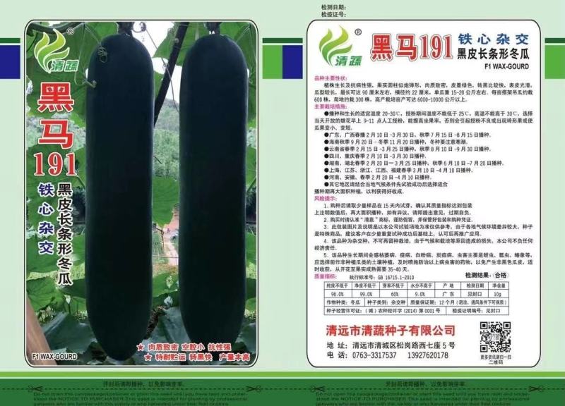 冬瓜苗