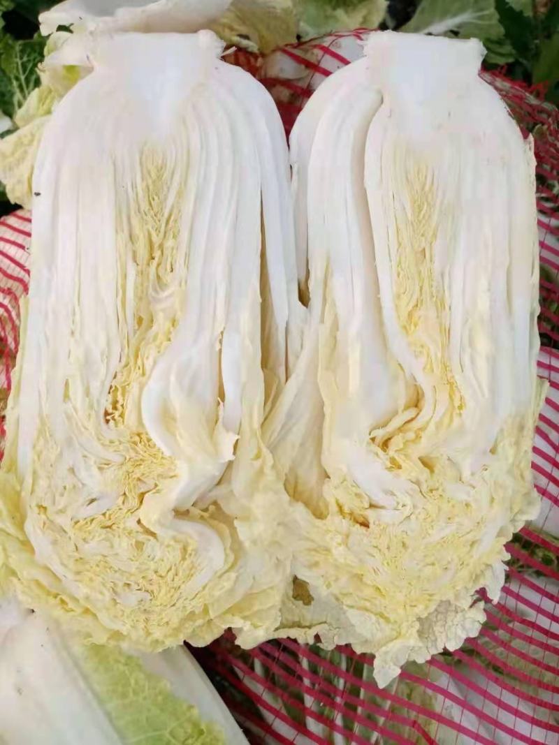 娃娃菜