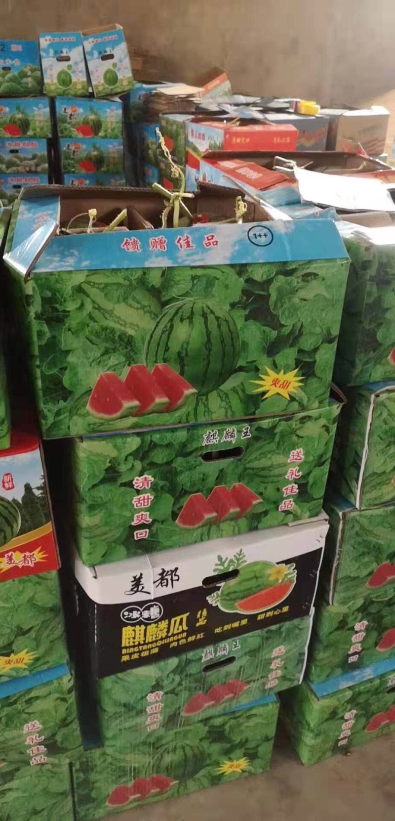 美都精品西瓜大棚种植