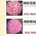 花园小菊种苗，颜色绚丽，冬春花坛必备春量大从优，预订发售