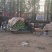精品无根甘蓝