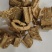 野生中药材丢了棒象皮藤一摩消五味藤新货，货源充足