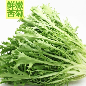 云南产区精品蔬菜合作社产地直销提供优质货源，水菜，特菜，