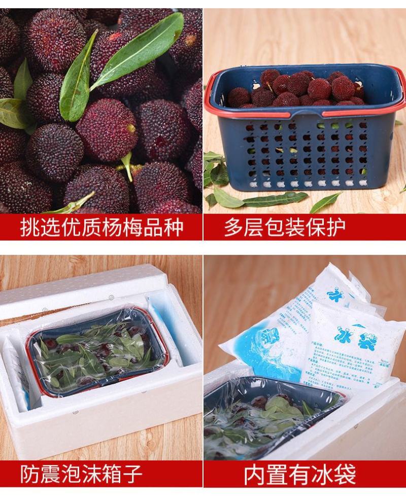 顺丰包邮农家产地直销新鲜大粒乌杨梅肉厚汁多