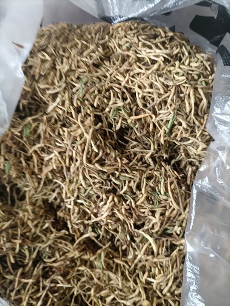 非种植金银花，全部是老农户外山坡荒地采摘，生长期长。