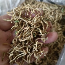 非种植金银花，全部是老农户外山坡荒地采摘，生长期长。