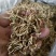 非种植金银花，全部是老农户外山坡荒地采摘，生长期长。