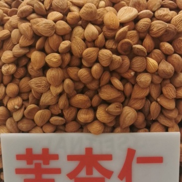 苦杏仁，甜杏仁，去皮苦杏仁，炒杏仁，脱苦杏仁，南北杏
