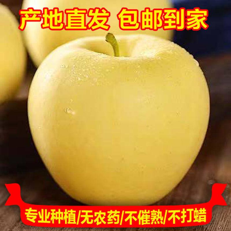 【产地直】【一件代发】黄元帅苹果新鲜现摘水果整箱包邮