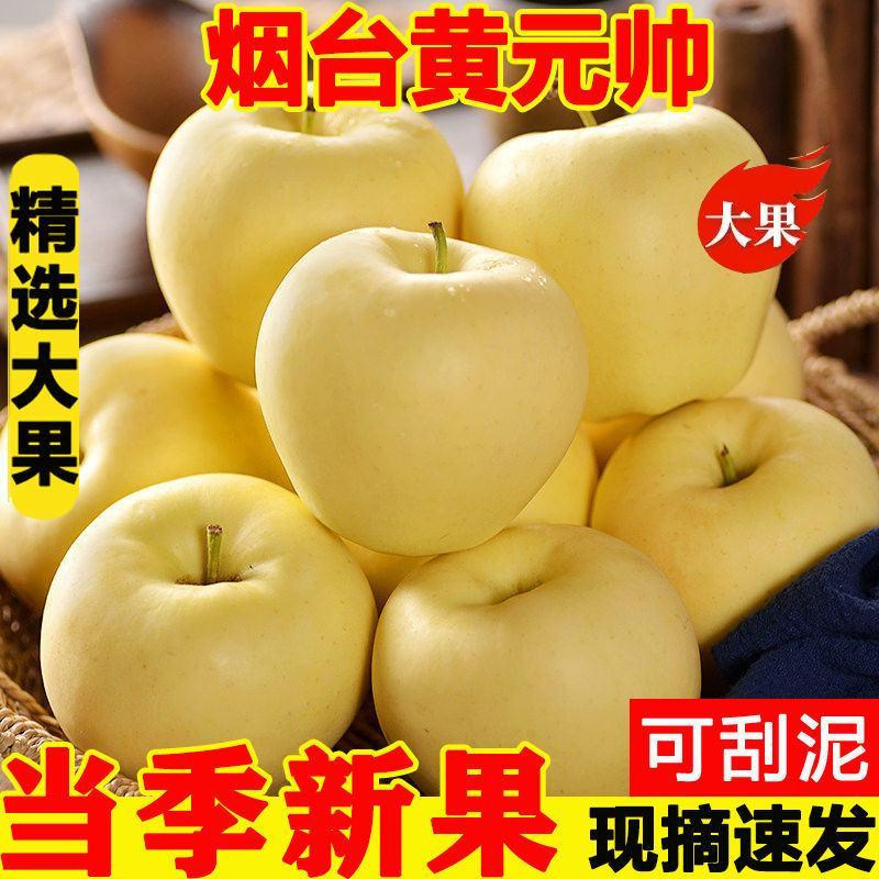 【产地直】【一件代发】黄元帅苹果新鲜现摘水果整箱包邮