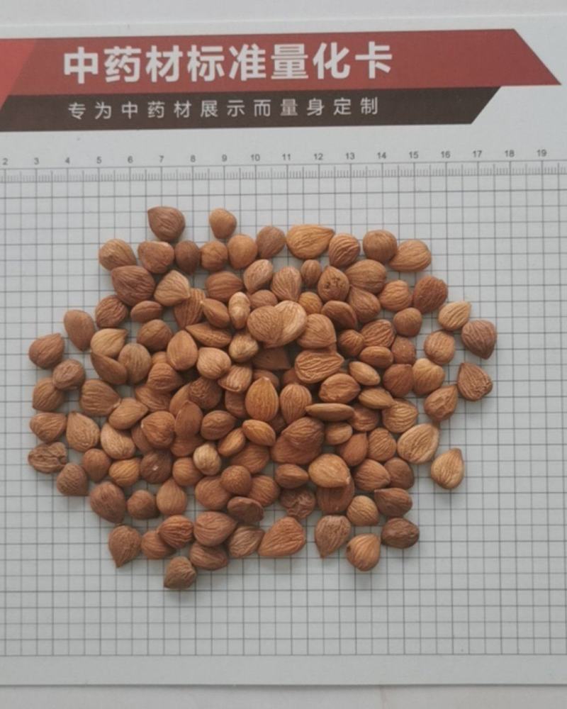 苦杏仁，甜杏仁，去皮苦杏仁，炒杏仁，脱苦杏仁，南北杏