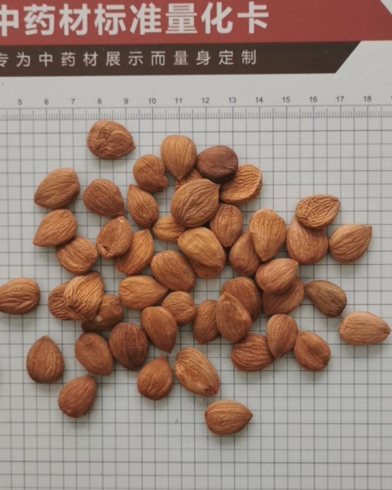 甜杏仁，苦杏仁，去皮苦杏仁，炒杏仁，脱苦杏仁，南北杏