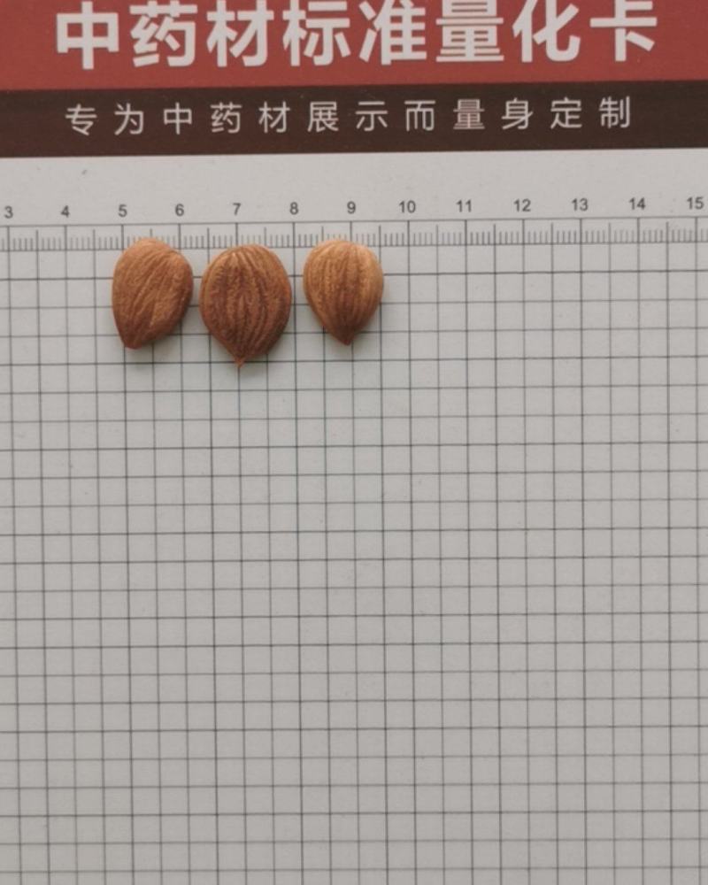 甜杏仁，苦杏仁，去皮苦杏仁，炒杏仁，脱苦杏仁，南北杏