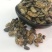 中药材鼠妇虫野生鼠妇虫地虱湿生虫潮虫干货