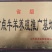白山羊头胎受孕羊买十送一货到付款自由挑选