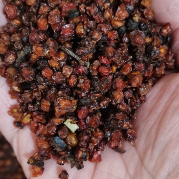 沙棘沙棘果新疆特产沙棘果批发各种中药材带抓中药