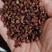 沙棘沙棘果新疆特产沙棘果批发各种中药材带抓中药