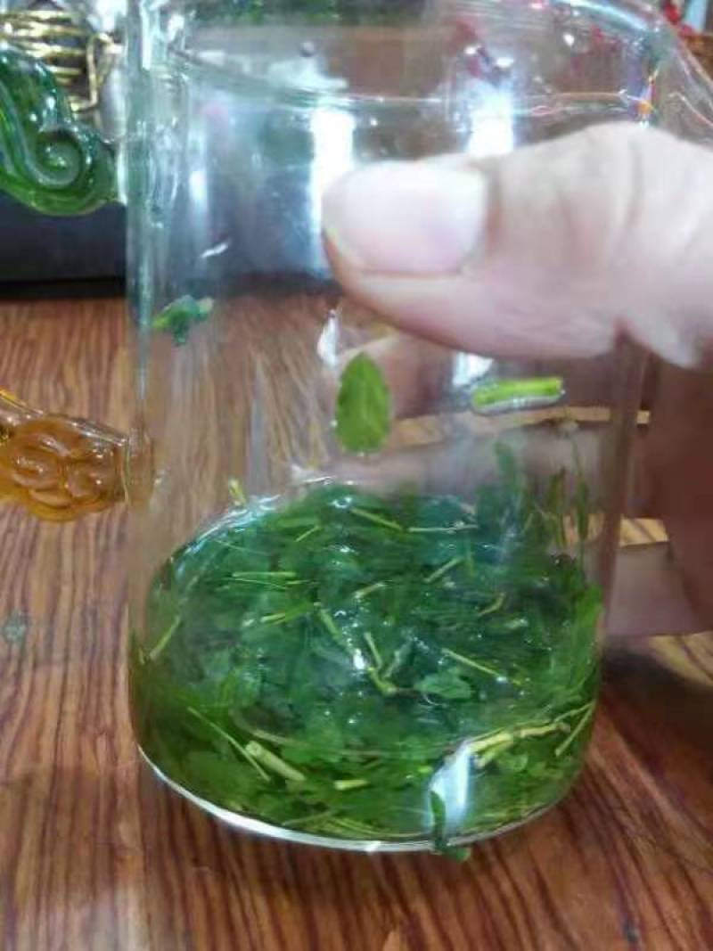 相思茶鸡骨草叶相思藤茶货大质优