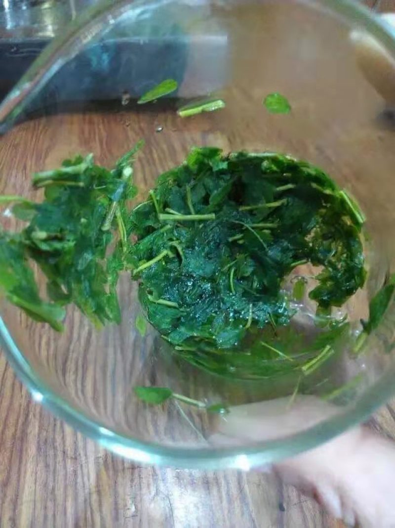 相思茶鸡骨草叶相思藤茶货大质优