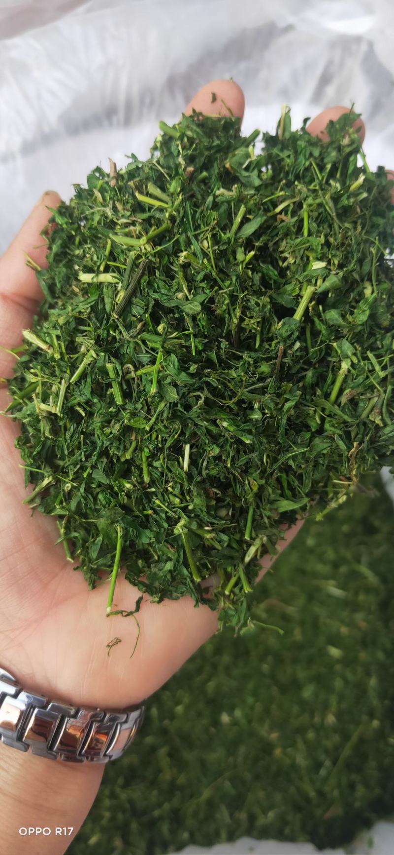 相思茶鸡骨草叶相思藤茶货大质优