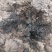 山东大樱桃基地国产车厘子孕妇当季水果爆浆樱桃批发一件代发