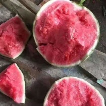 精品甜王，产区直供，万亩货源，有需要的老板来电洽谈。