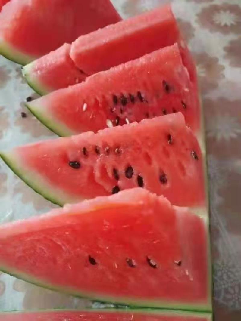 精品甜王，产区直供，万亩货源，有需要的老板来电洽谈。