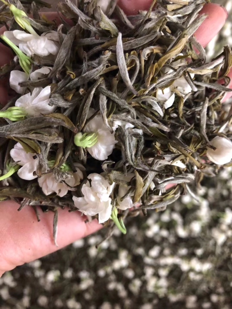 茉莉飘雪茉莉花茶广西横县中华茉莉园花茶直销